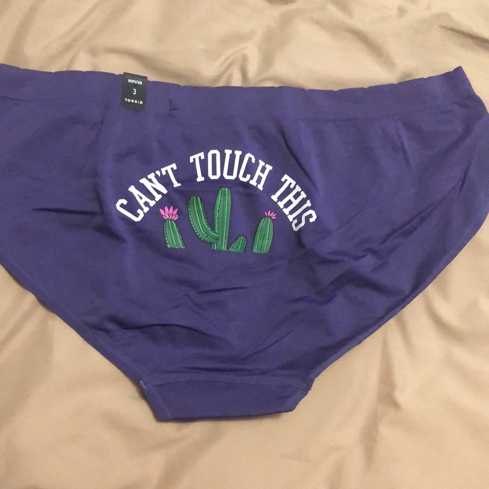 Torrid Size 3 hipster panties